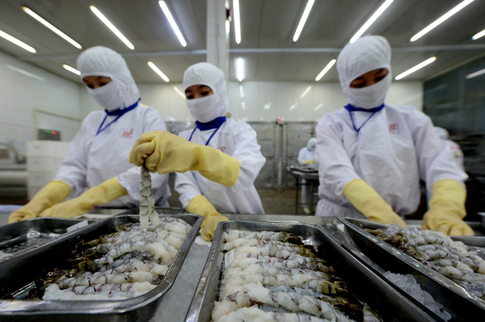 Bản lĩnh doanh nhân Việt - Ảnh 2