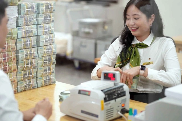 Tiền vẫn đổ vào ngân hàng, vì sao? - Ảnh 1