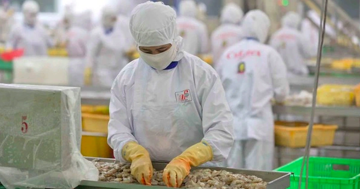 Việt Nam - Mỹ thống nhất công bố tuyên bố chung về thuế đối ứng