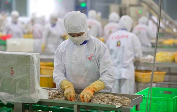 Việt Nam - Mỹ thống nhất công bố tuyên bố chung về thuế đối ứng - Ảnh 1