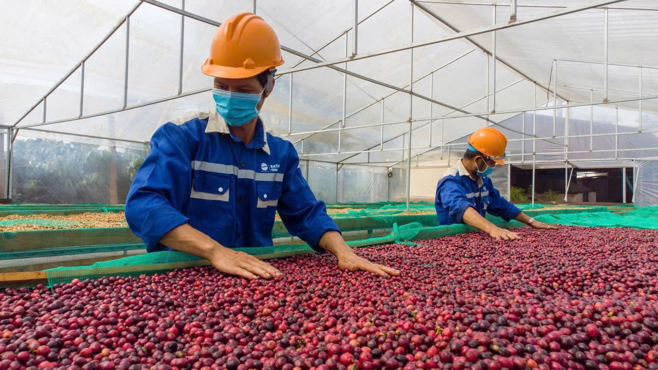 Bước tiến mới trong thuế đối ứng Mỹ - Việt - Ảnh 3