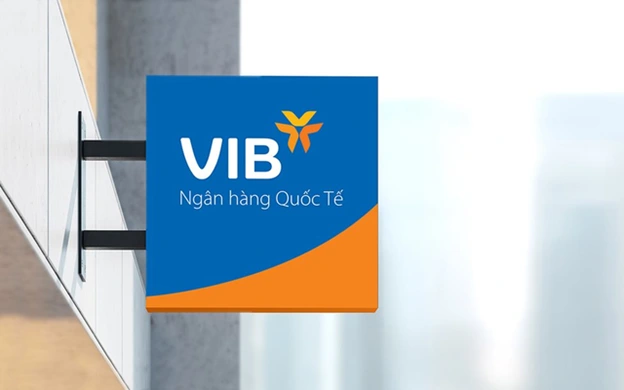 VIB hoàn tất nộp ngân sách năm 2024 lên 2.624 tỉ đồng - Ảnh 1