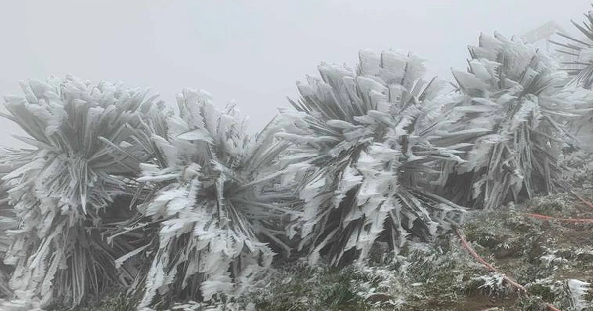 Đợt không khí lạnh mới lại về, gây mưa, rét nhiều nơi