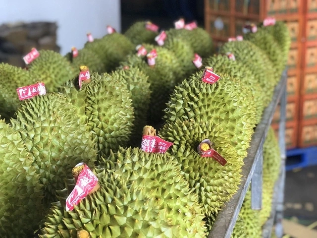 Thúc đẩy các trụ cột, đưa kinh tế tăng trưởng về đích - Ảnh 4