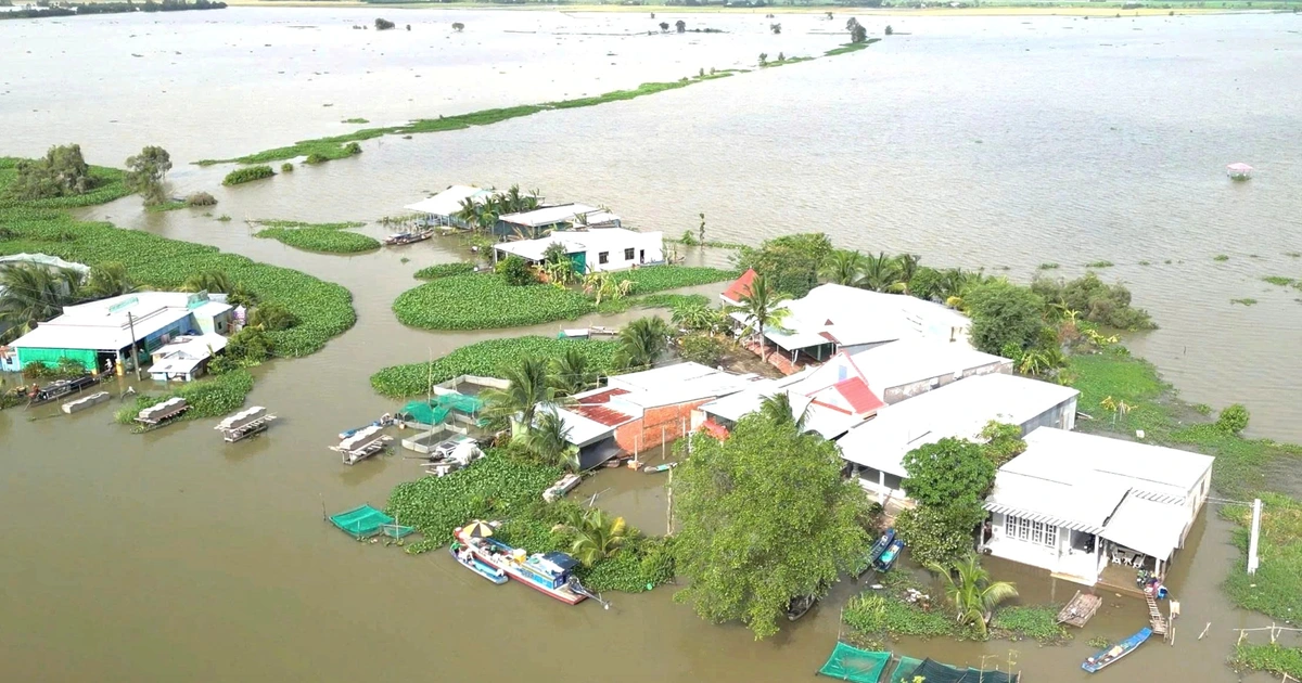 ĐBSCL lũ cao, sắp đón đợt triều cường vượt báo động 3