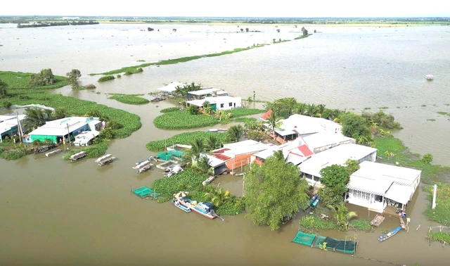 ĐBSCL lũ cao, sắp đón đợt triều cường vượt báo động 3 - Ảnh 1