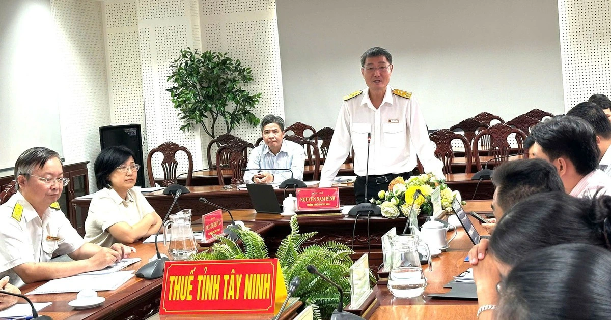 Thuế tỉnh Tây Ninh triển khai đề án ảnh hưởng đến 94.000 hộ kinh doanh