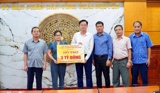 TKV trao 10,7 tỉ đồng hỗ trợ 4 tỉnh khắc phục hậu quả mưa lũ bão Matmo - Ảnh 3