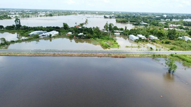 Đường tránh Cao Lãnh xuyên qua cánh đồng mùa nước nổi sắp hoàn thành - Ảnh 5