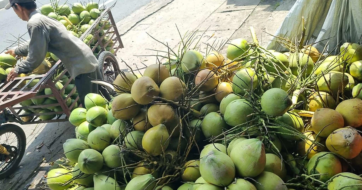 Xuất khẩu rau quả bứt tốc mãnh liệt