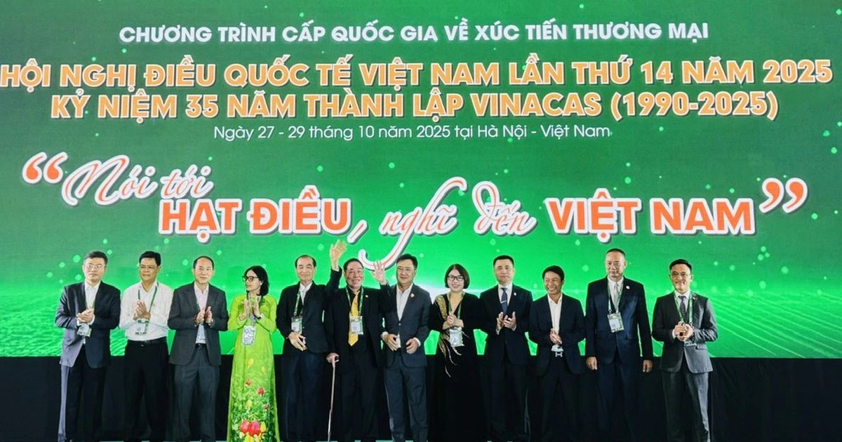 Tiếp tục cạnh tranh giảm giá, ngành điều Việt Nam khó tồn tại