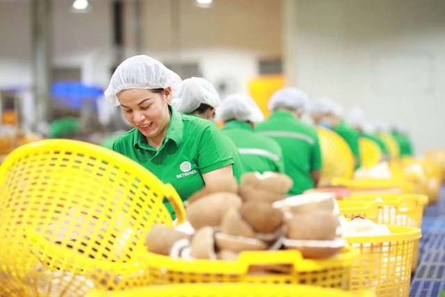 Việt Nam tăng tốc xuất khẩu sang Campuchia - Ảnh 2