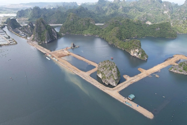 Quảng Ninh: Dự án 10B phường Quang Hanh tái khởi động sau 2 năm - Ảnh 1