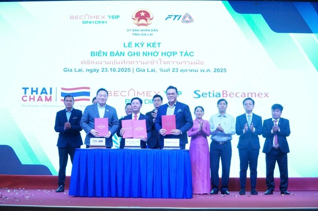 Becamex khởi động hàng loạt dự án tại Gia Lai - Ảnh 2