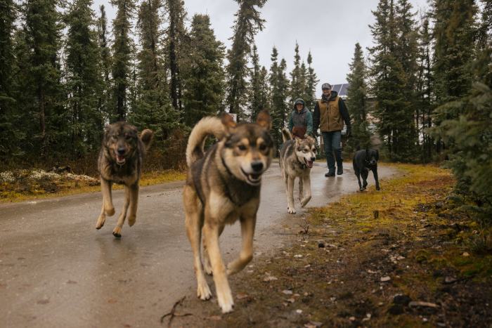 Hứng đòn đau vì Trung Quốc chặn mặt hàng Mỹ không thể sản xuất dù chỉ 1 gram, người dân bỏ qua cả vàng để săn lùng kho báu: Liệu có thoát phụ thuộc Bắc Kinh? - Ảnh 13