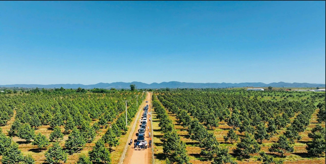 Bầu Đức nói về lúc đứng trước bờ vực phá sản - Ảnh 2