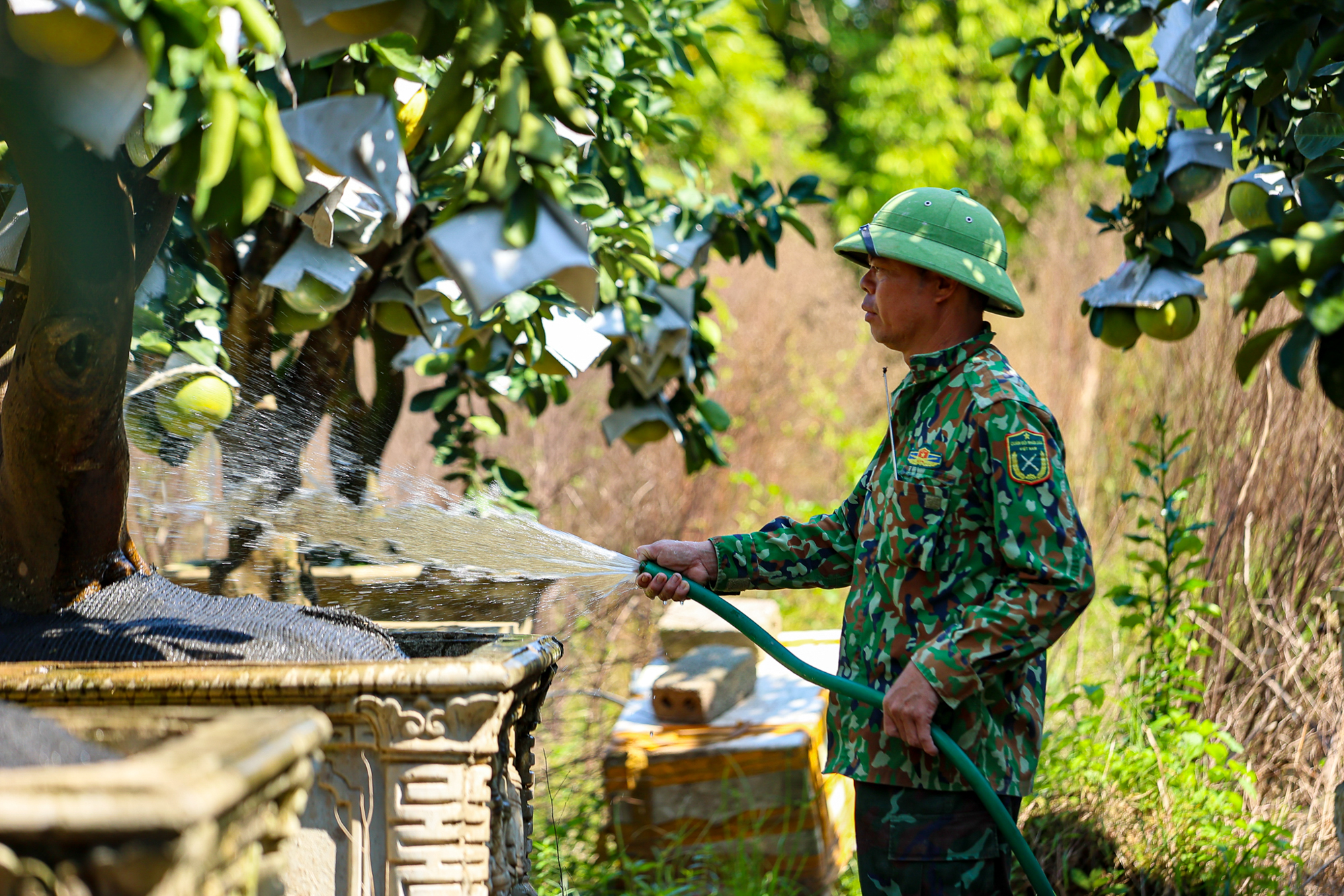 Toàn cảnh khu đất gần các đại dự án của Vinhomes, Ecopark, Sunshine… sắp trở thành “thành phố đại học” của 30.000 sinh viên Bách Khoa - Ảnh 9