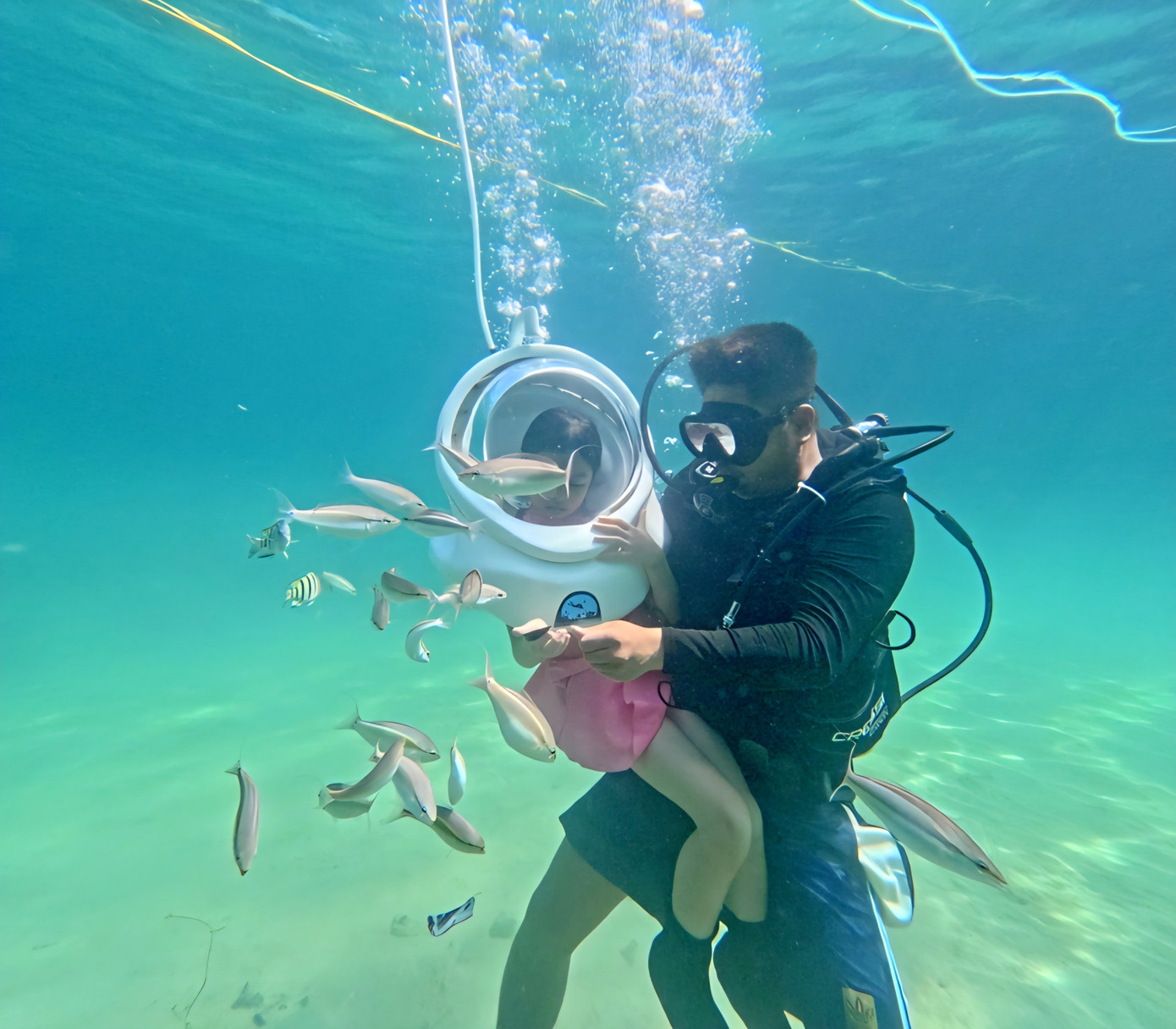 Quảng Ninh sẽ xây cầu vượt biển đánh thức ‘viên ngọc xanh’ giữa vịnh Bắc Bộ - Ảnh 10