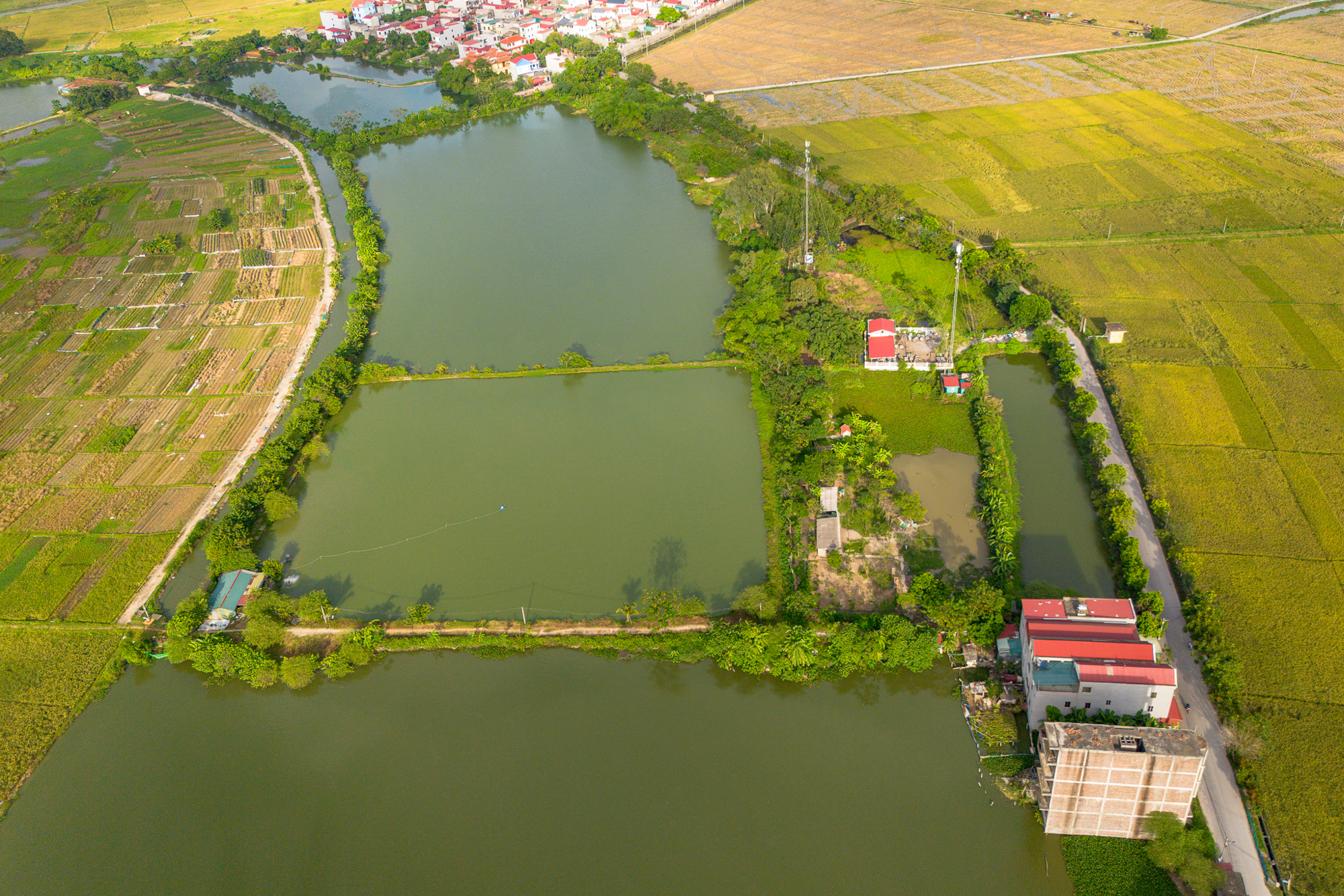 Toàn cảnh khu đất rộng gấp rưỡi phường Hoàn Kiếm, sắp được Vingroup đầu tư 41.000 tỷ làm khu đô thị ở Bắc Ninh - Ảnh 11