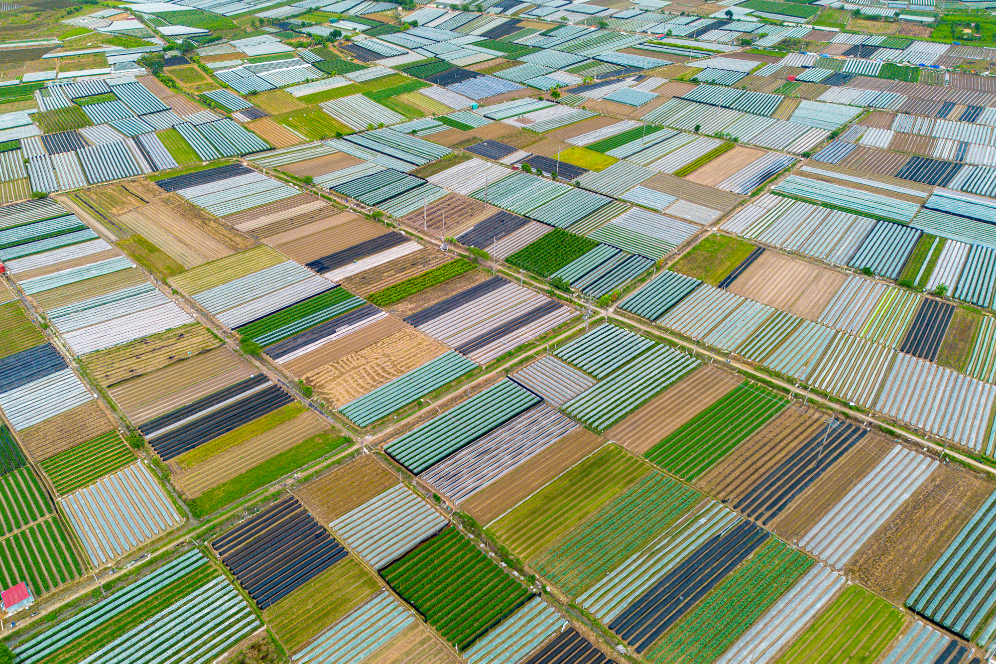 Thay bạn đi xem khu đất rộng hơn phường Hoàn Kiếm, sẽ được Sun Group đầu tư 15.000 tỷ ở điểm nóng Mê Linh - Ảnh 11