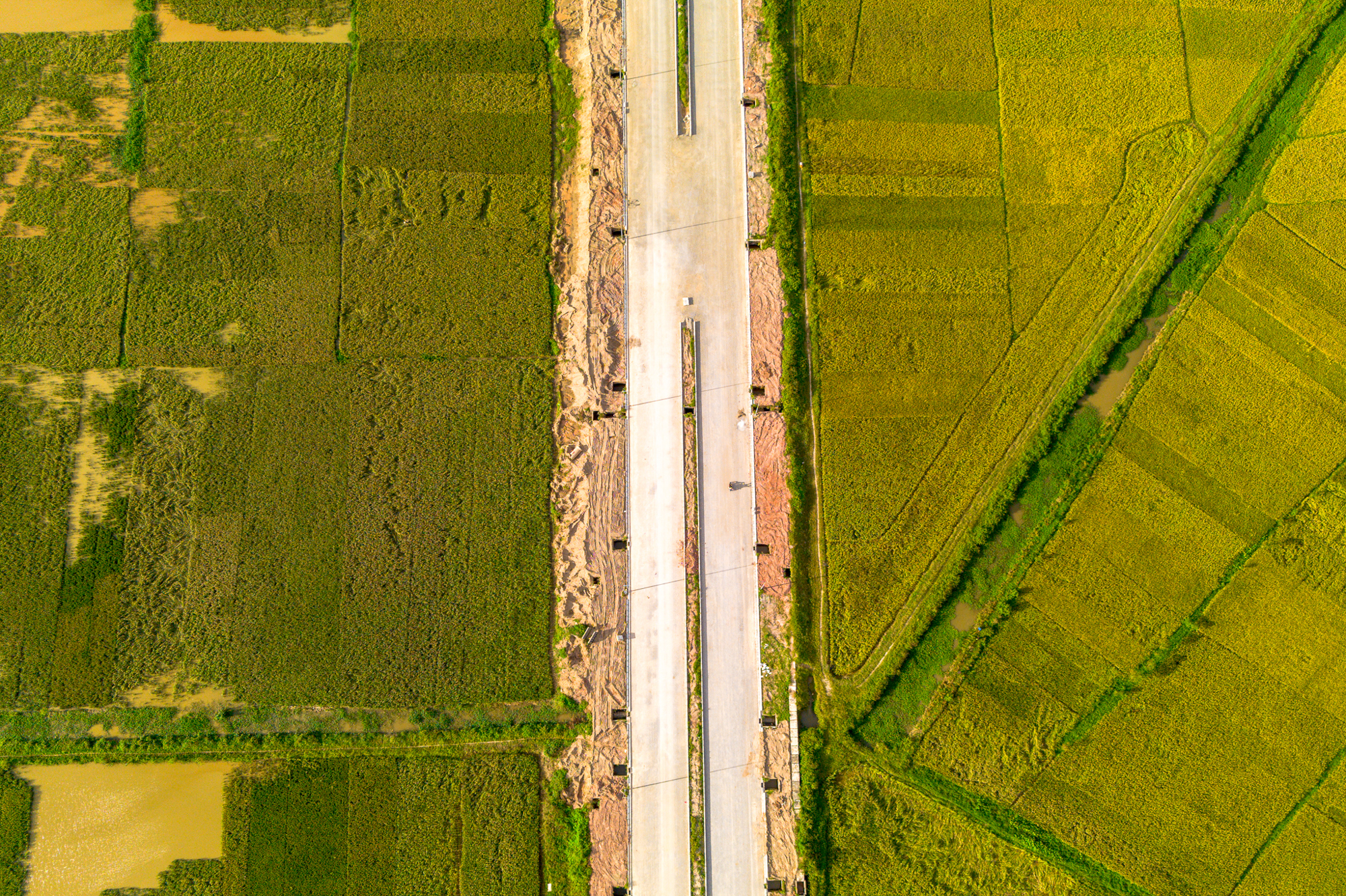 Toàn cảnh khu đất rộng gấp rưỡi phường Hoàn Kiếm, sắp được Vingroup đầu tư 41.000 tỷ làm khu đô thị ở Bắc Ninh - Ảnh 12