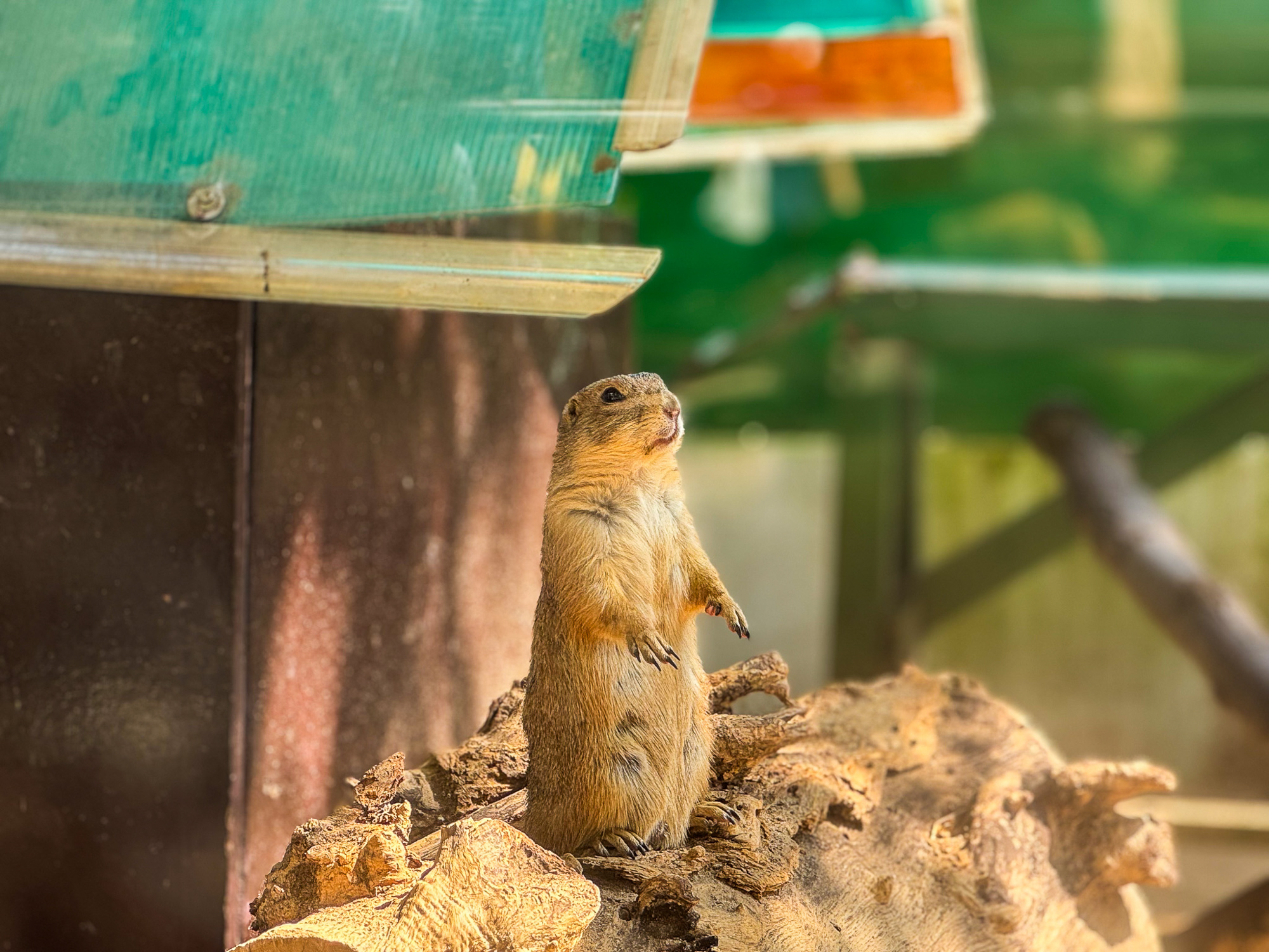 Hành trình từ nợ thuế hơn 800 tỷ đến có lãi của doanh nghiệp sở hữu 17 ha đất vàng giữa phường Sài Gòn - Ảnh 13