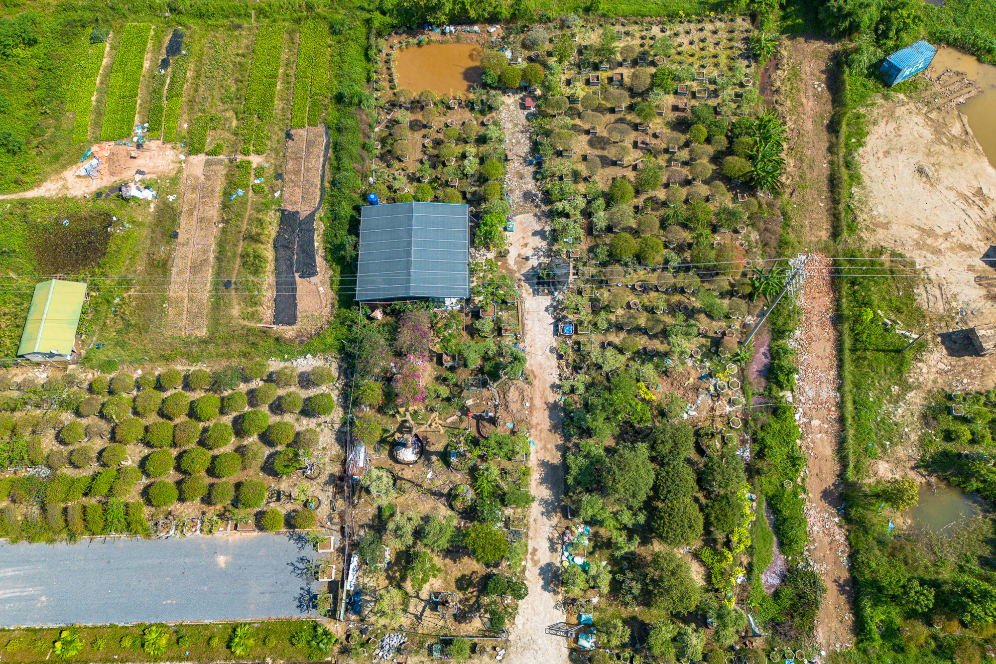 Toàn cảnh khu đất gần các đại dự án của Vinhomes, Ecopark, Sunshine… sắp trở thành “thành phố đại học” của 30.000 sinh viên Bách Khoa - Ảnh 12