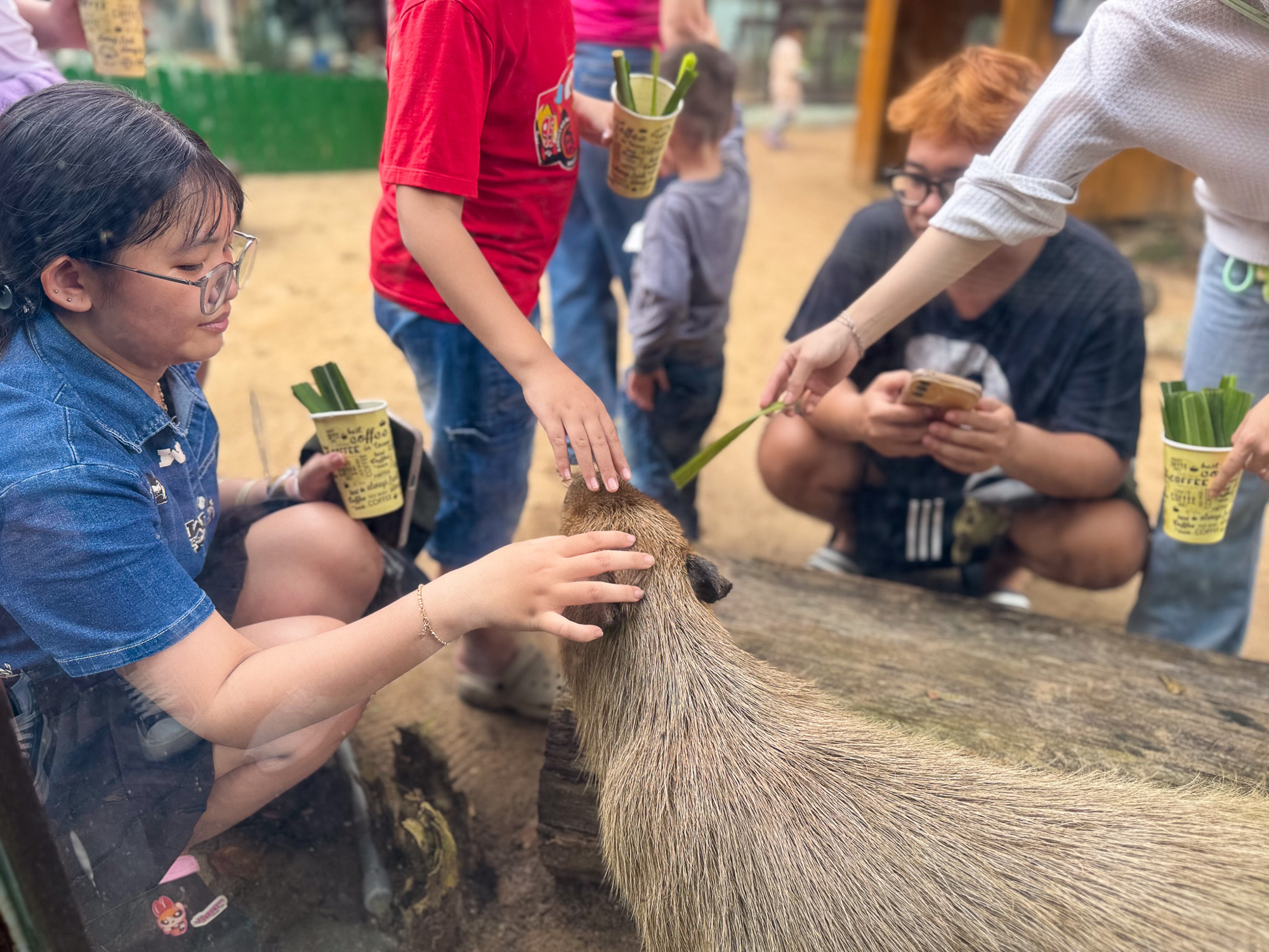 Hành trình từ nợ thuế hơn 800 tỷ đến có lãi của doanh nghiệp sở hữu 17 ha đất vàng giữa phường Sài Gòn - Ảnh 14