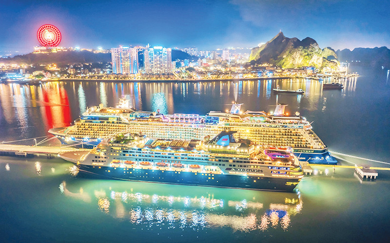 Lần đầu tiên Việt Nam ghi nhận một kỷ lục chưa từng có - Ảnh 2