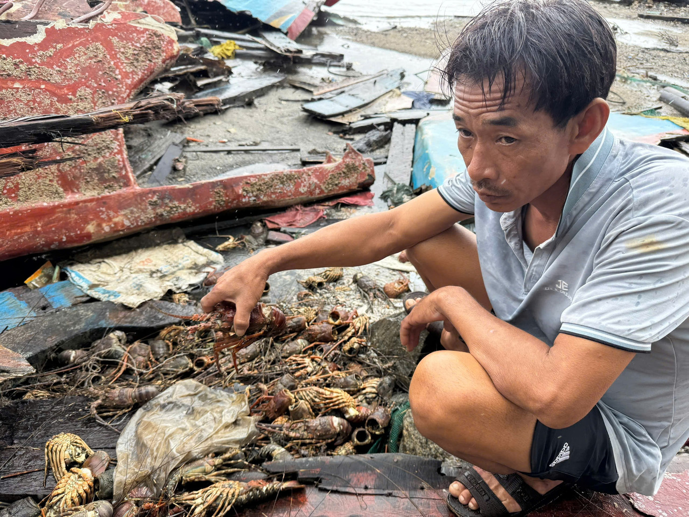 Tôm hùm chết sạch, chất đống bốc mùi hôi thối sau lũ - Ảnh 6