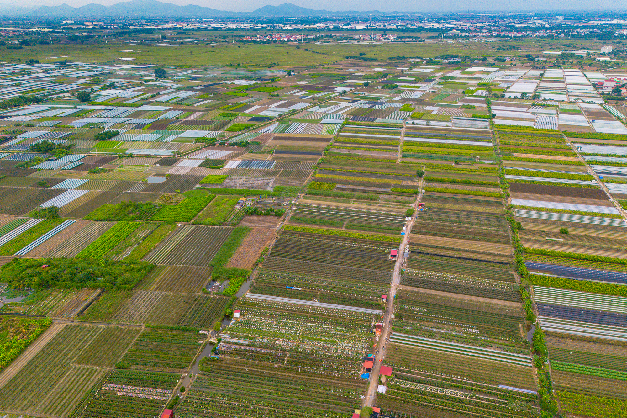 Thay bạn đi xem khu đất rộng hơn phường Hoàn Kiếm, sẽ được Sun Group đầu tư 15.000 tỷ ở điểm nóng Mê Linh - Ảnh 5