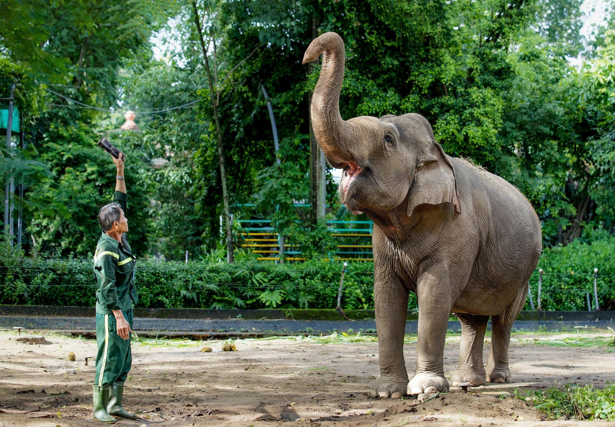Hành trình từ nợ thuế hơn 800 tỷ đến có lãi của doanh nghiệp sở hữu 17 ha đất vàng giữa phường Sài Gòn - Ảnh 5