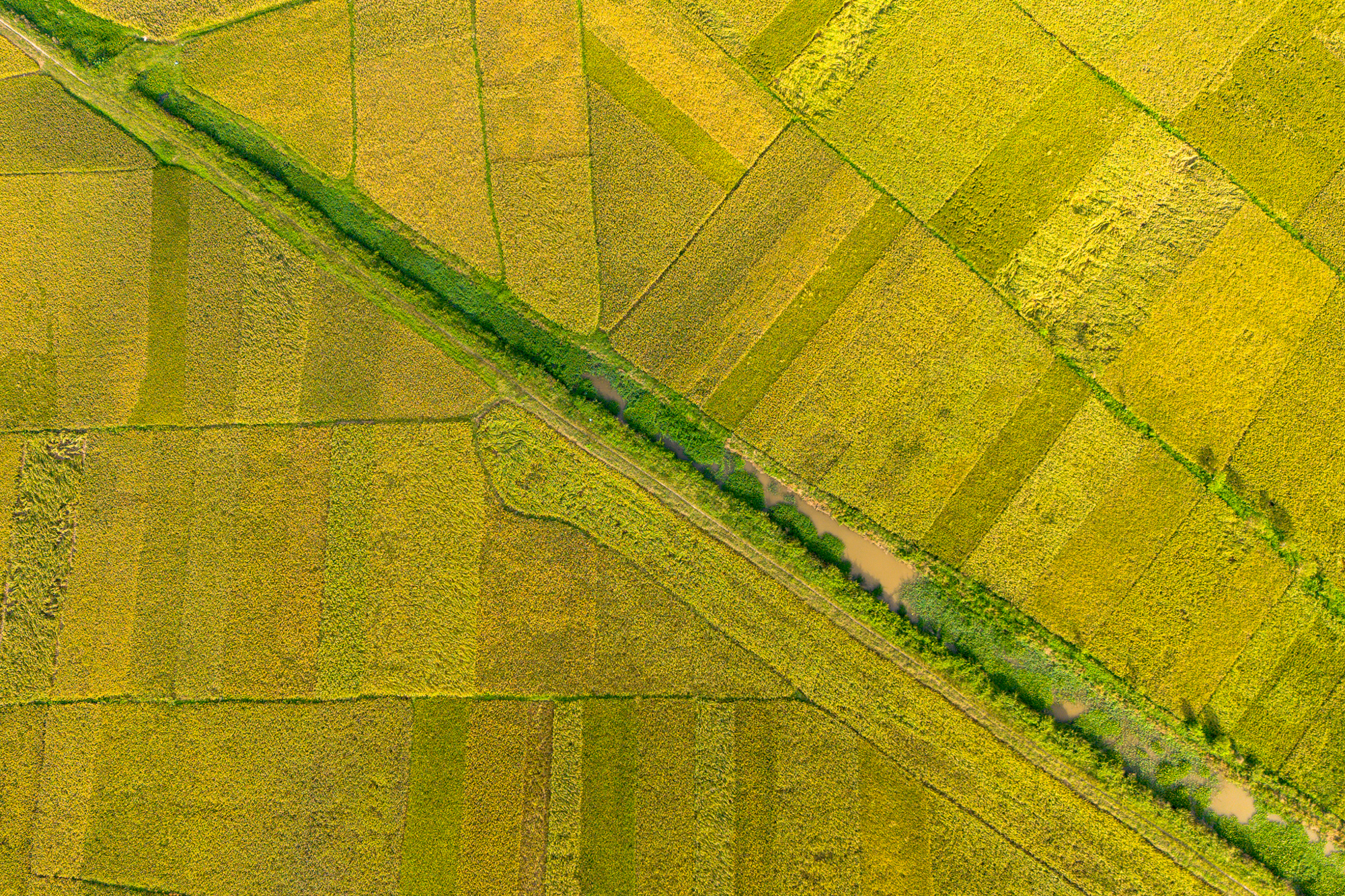 Toàn cảnh khu đất rộng gấp rưỡi phường Hoàn Kiếm, sắp được Vingroup đầu tư 41.000 tỷ làm khu đô thị ở Bắc Ninh - Ảnh 6