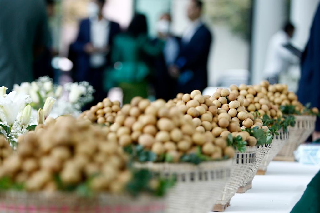 Đặc sản triệu đô của Việt Nam được Trung Quốc siêu mê, mệnh danh là 'vương giả chi quả', diện tích trồng hơn 68.000 ha - Ảnh 1