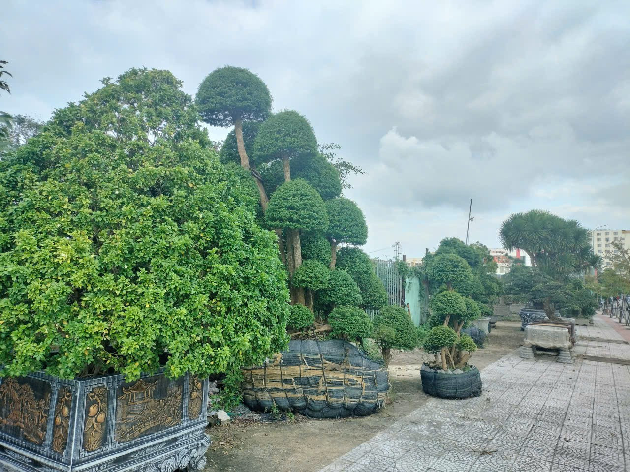 Cận cảnh tiến độ các dự án nhà ở xã hội 'hot' ở trung tâm Đà Nẵng - Ảnh 10