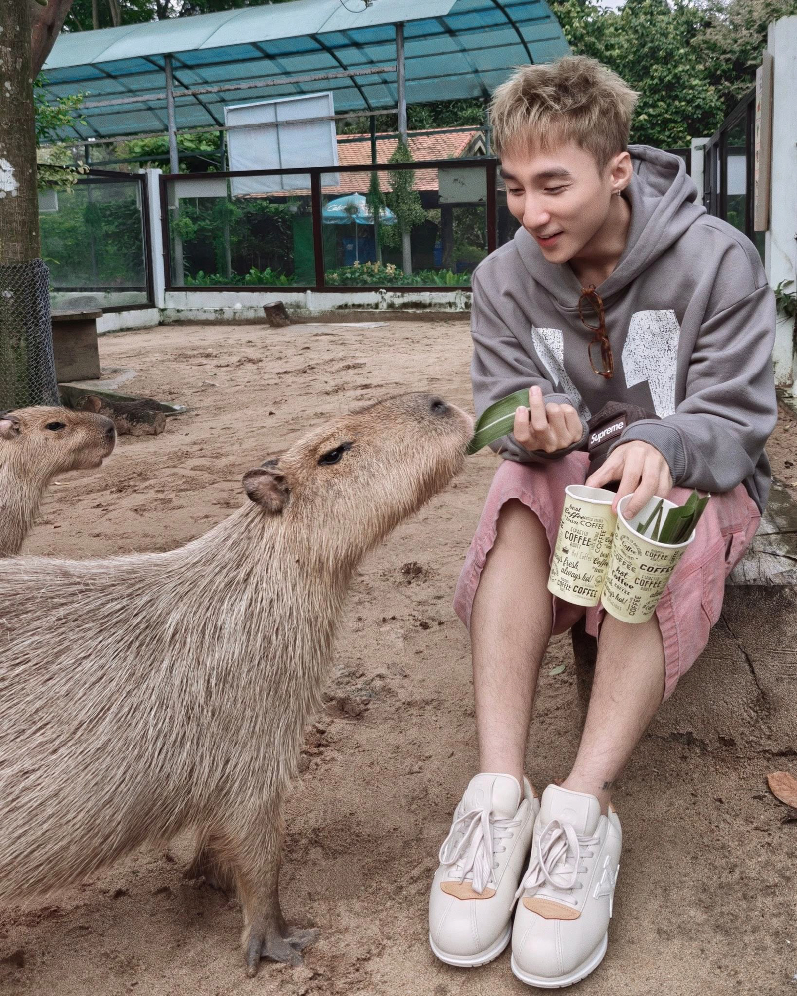 Hành trình từ nợ thuế hơn 800 tỷ đến có lãi của doanh nghiệp sở hữu 17 ha đất vàng giữa phường Sài Gòn - Ảnh 7