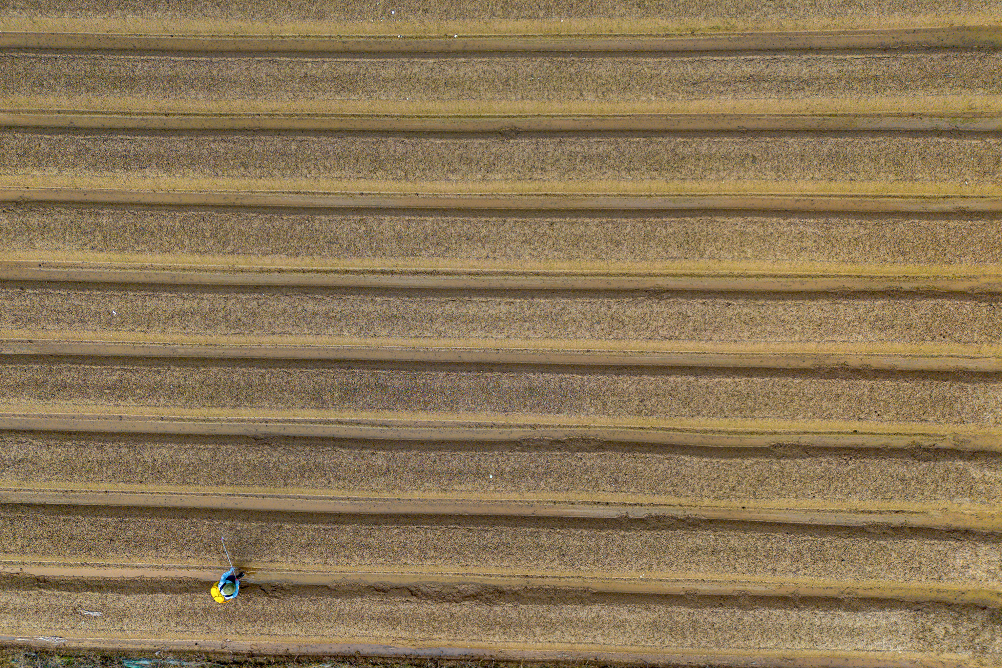 Thay bạn đi xem khu đất rộng hơn phường Hoàn Kiếm, sẽ được Sun Group đầu tư 15.000 tỷ ở điểm nóng Mê Linh - Ảnh 8