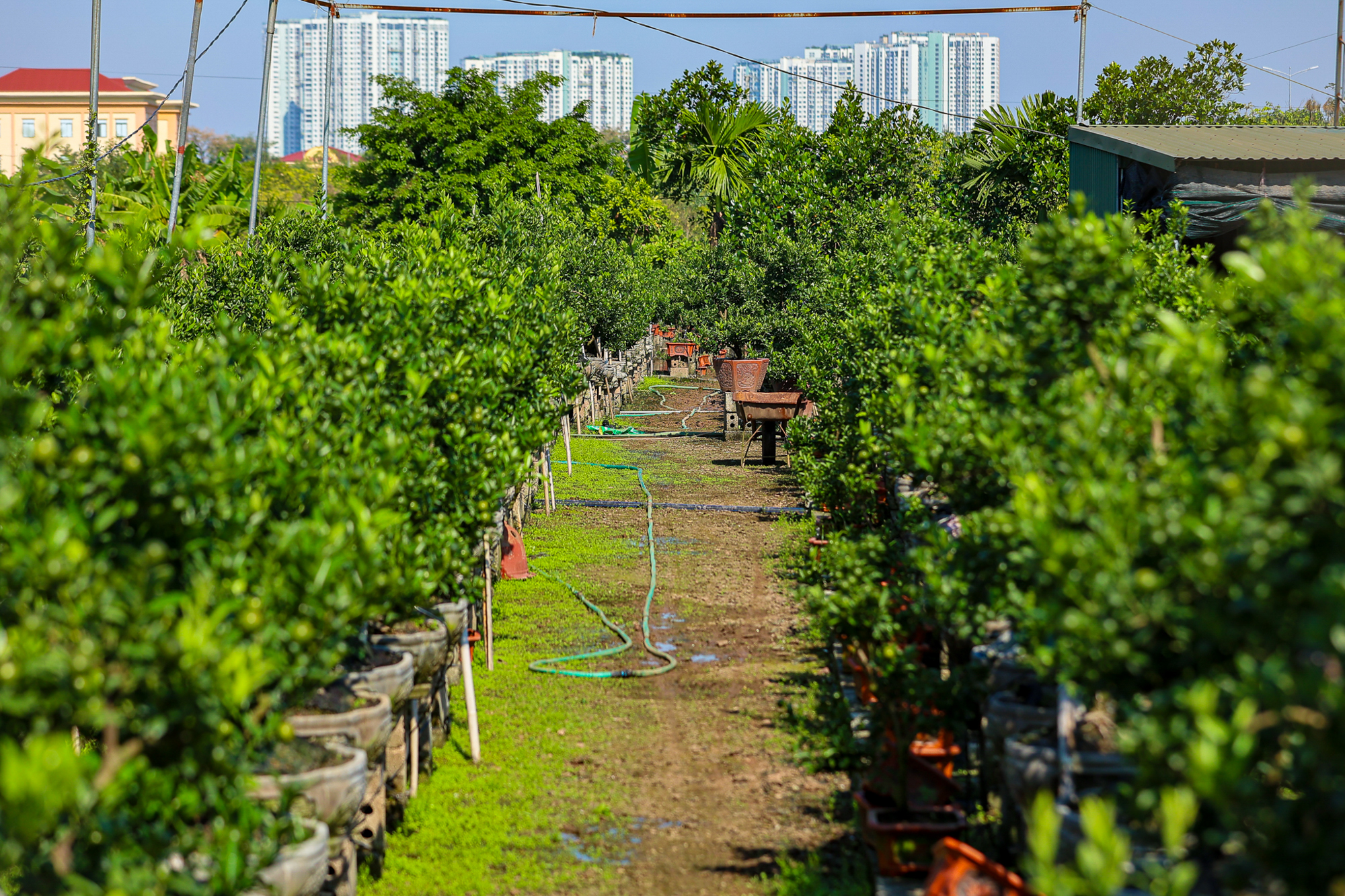 Toàn cảnh khu vực sắp xây sân vận động lớn nhất Việt Nam tại Hưng Yên: Sức chứa gấp rưỡi sân Mỹ Đình, do Vinhomes xây dựng - Ảnh 8