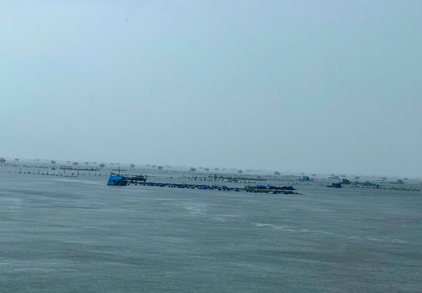 Tôm hùm chết sạch, chất đống bốc mùi hôi thối sau lũ - Ảnh 3