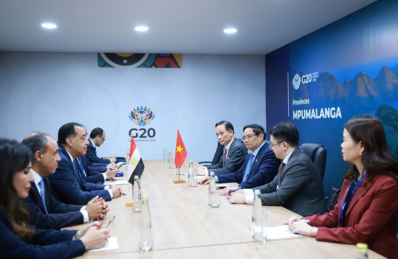 Thủ tướng đề xuất Việt Nam xuất khẩu ngành nông nghiệp sang Ai Cập - Ảnh 2