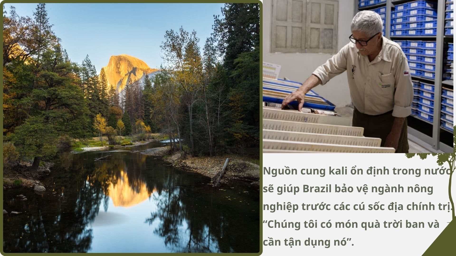 Không phải vàng hay dầu, nền kinh tế trên 200 triệu dân săn lùng ‘kho báu’ trải dài 400 km sâu dưới rừng nhằm dắt lưng 'vũ khí' giữa thương chiến, Trung Quốc ngỏ ý tham gia - Ảnh 4