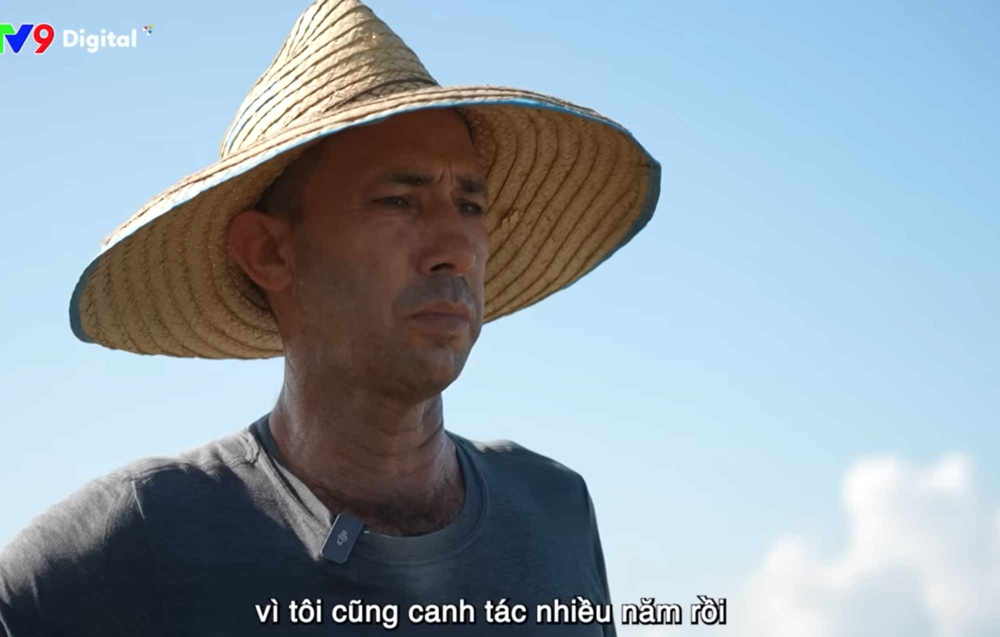 Giống lúa Việt Nam “gây bão” ở Cuba: Người dân nước bạn nói gì? - Ảnh 2