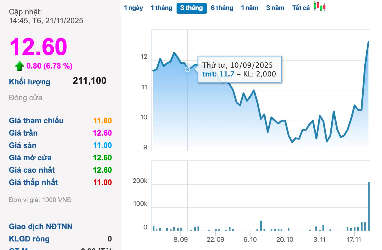 Cổ phiếu công ty bán xe điện "có biến" - Ảnh 1