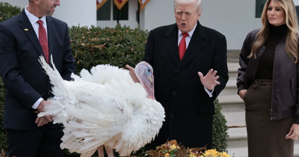 Ông Trump ân xá cho gà tây