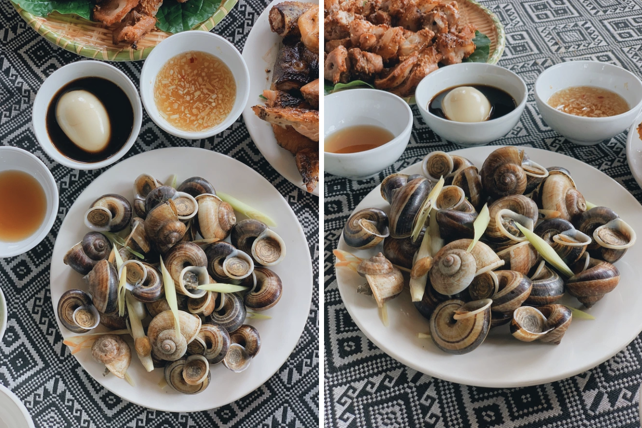 Loài vật tưởng chỉ có dưới nước, ai ngờ còn "bò" lên núi và trở thành đặc sản được săn lùng - Ảnh 2