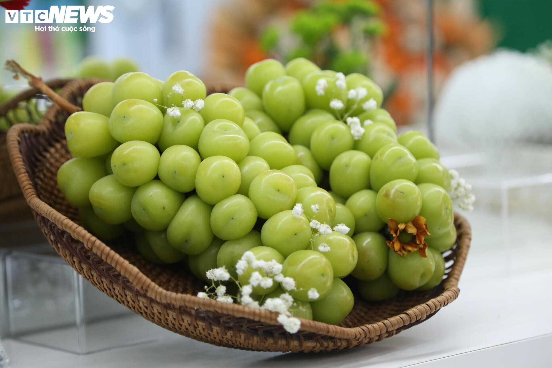 Cận cảnh loạt trái cây 'hot' bị nhái nguồn gốc, lừa người tiêu dùng - Ảnh 4