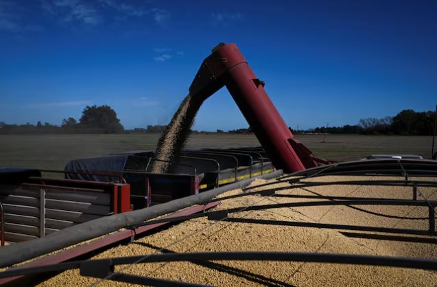 Trung Quốc tạm dừng mức thuế 24%, đậu tương của Mỹ vẫn đánh mất lợi thế vào tay một ông trùm nông sản: Là nhà cung cấp lớn nhất của Việt Nam nhiều năm qua - Ảnh 1