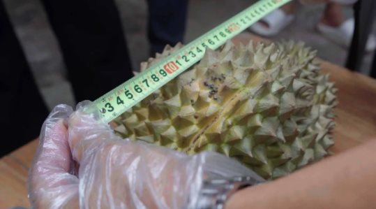 Trung Quốc tuyên bố vừa thử nghiệm thành công sầu riêng tại Vân Nam: Hướng tới giấc mơ “tự do sầu riêng”, diện tích trồng ra sao? - Ảnh 2