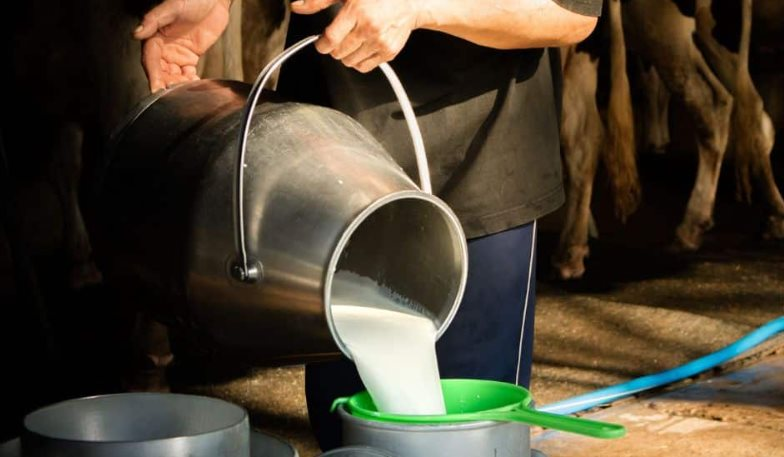 Đột kích vào nhà dân, cảnh sát triệt phá đường dây sữa giả chỉ hoạt động vào đêm và sáng sớm, tiêu hủy 400 lít sữa pha chế từ hóa chất - Ảnh 1