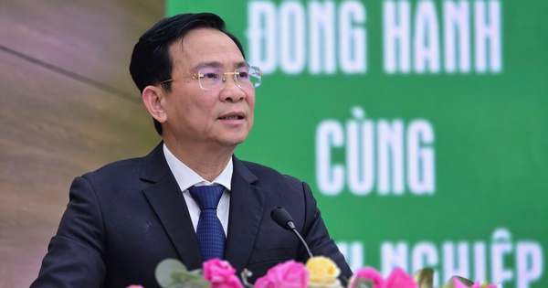 Lập 6 tổ công tác “giải cứu” 288 dự án tại Lâm Đồng